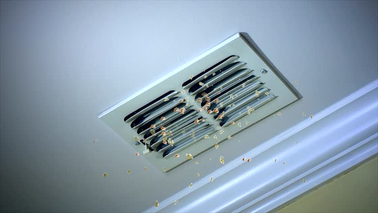 Affordable HVAC Duct Cleaning in AZ