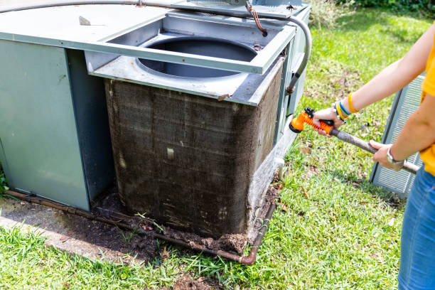 Best Air Vent Cleaning Services  in Doney Park, AZ