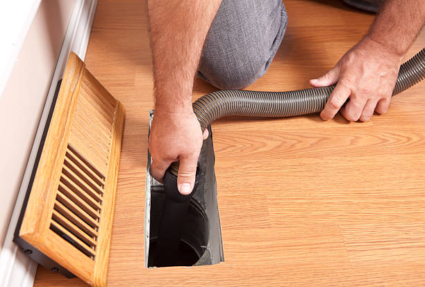 Best Emergency Air Duct Cleaning  in Doney Park, AZ