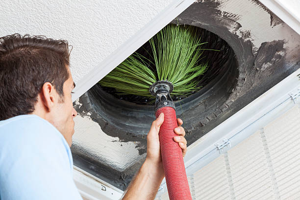 Best Affordable Air Duct Cleaning  in Doney Park, AZ